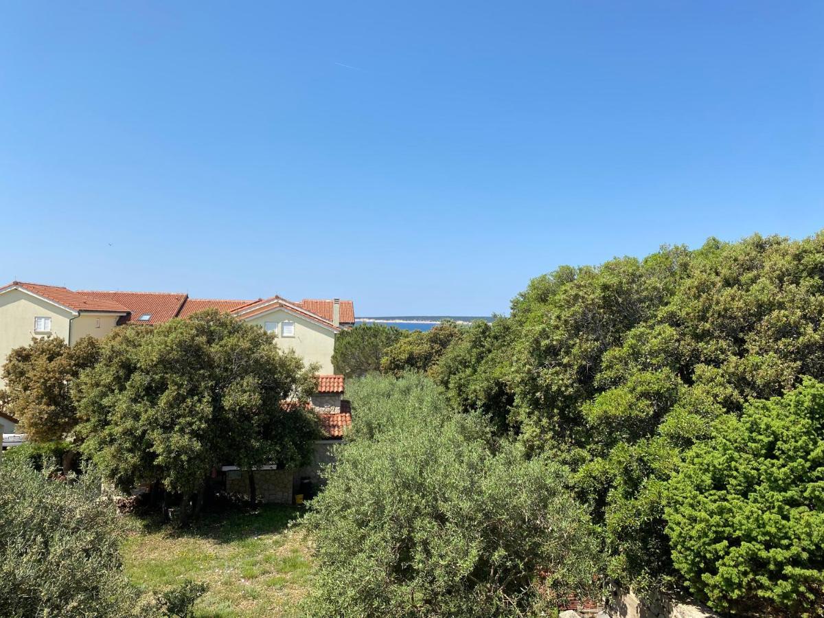 Lili Rose Mandre - Exclusive Apartments With Sea View, Just Steps From Beach Apartment